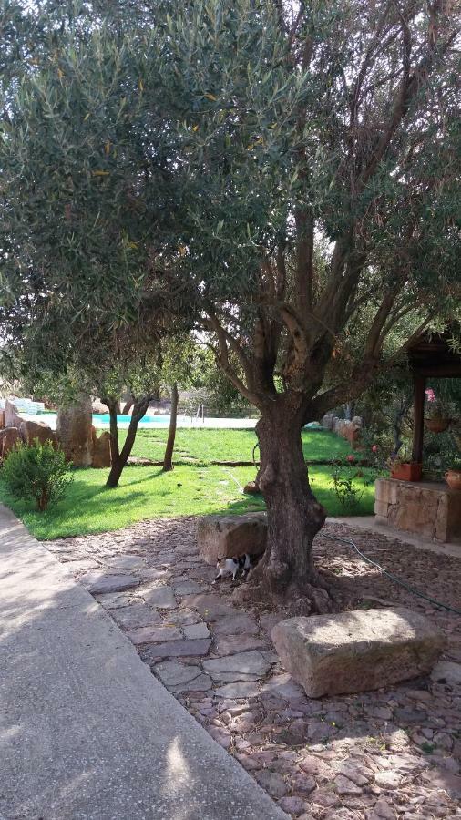AGRITURISMO SA è PADEDDA Mores Esterno foto