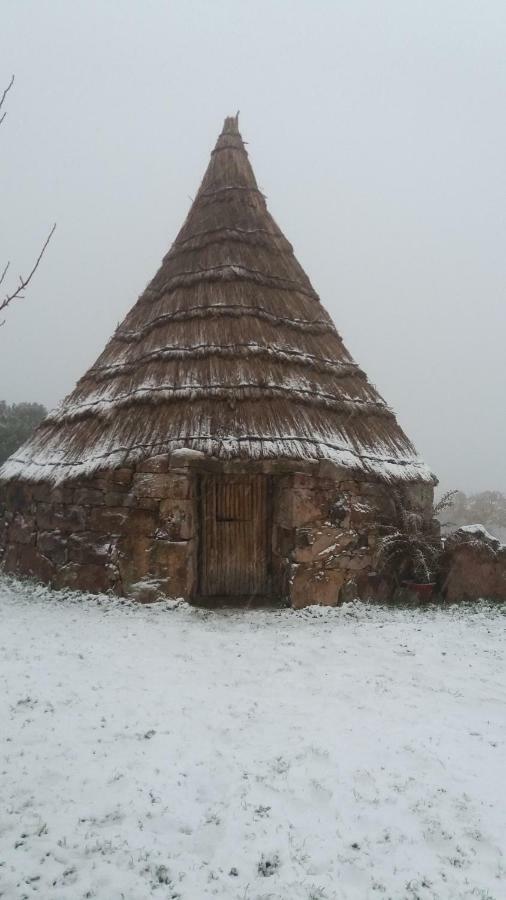 AGRITURISMO SA è PADEDDA Mores Esterno foto