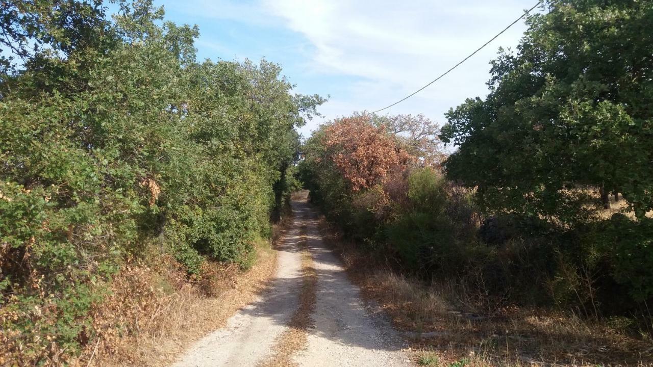 AGRITURISMO SA è PADEDDA Mores Esterno foto