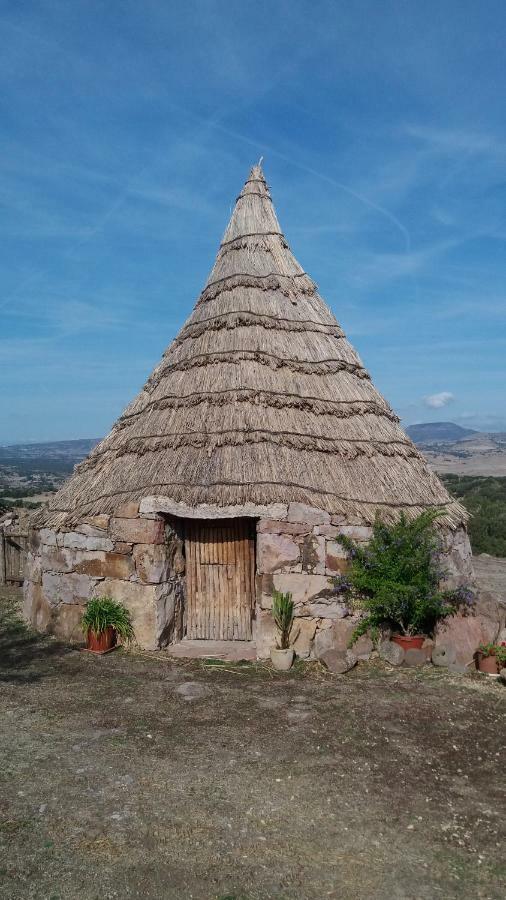 AGRITURISMO SA è PADEDDA Mores Esterno foto